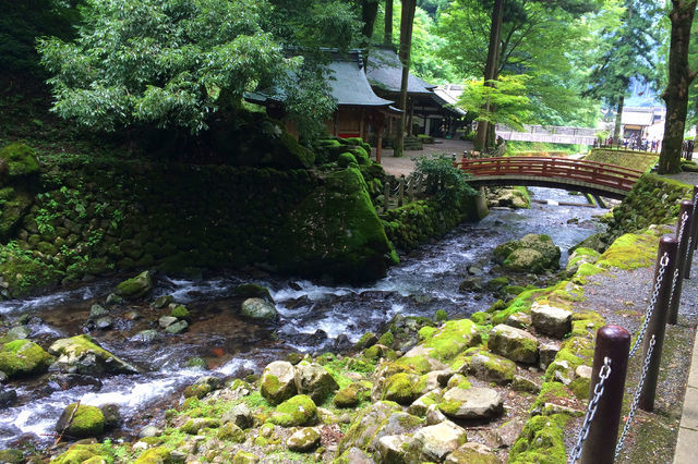 160043_2099403983_141large.jpg