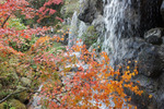 20101127004.JPG