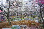 20110220011.JPG