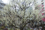 20110220014.JPG