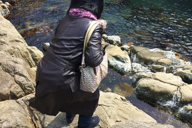 20140419007.JPG