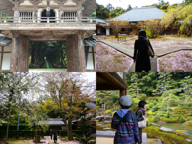 20140419010.JPG