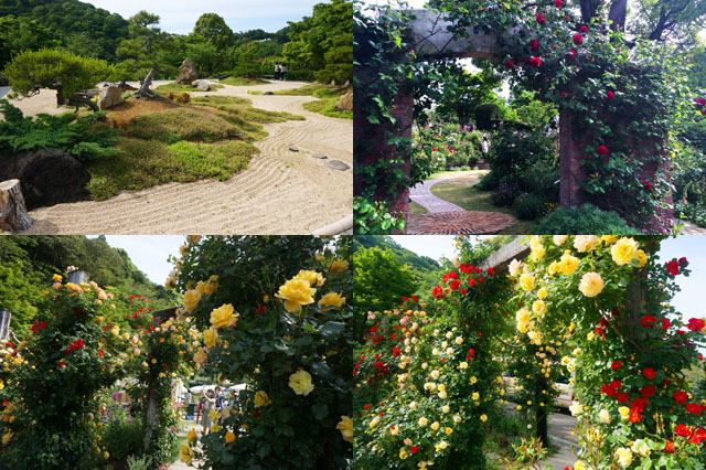 20140518014.JPG