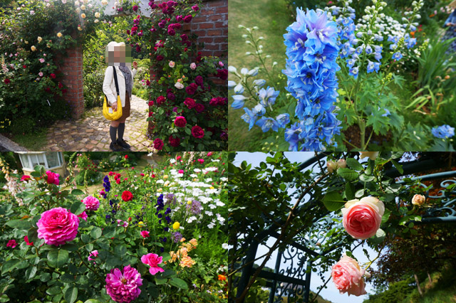 20140518015.JPG