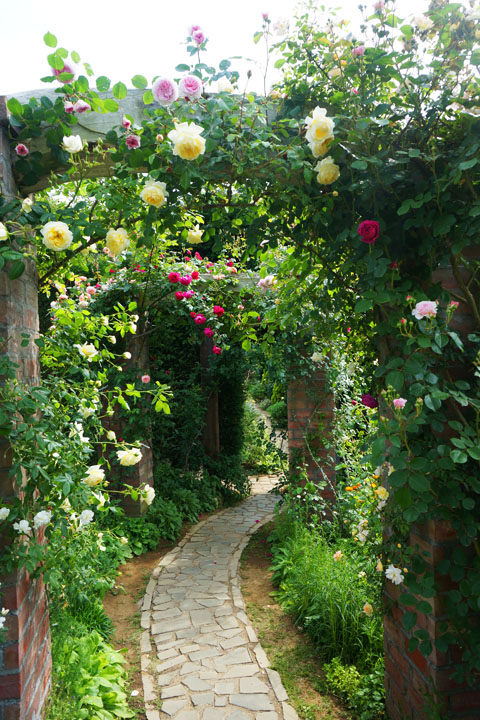 20140518017.JPG