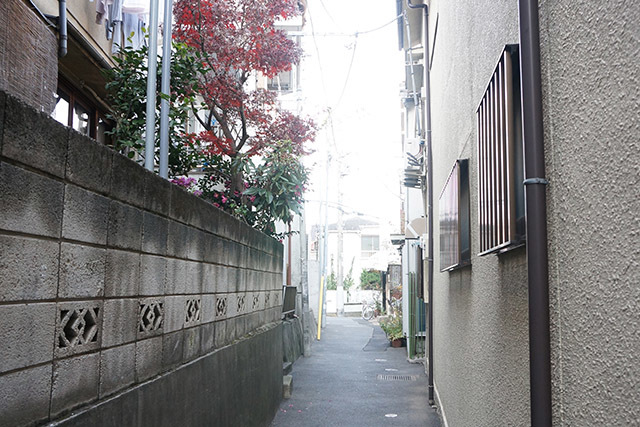 DSC03387.JPG