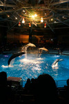 DSC03740.JPG