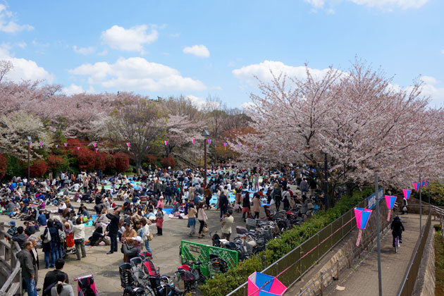 DSC04615.jpg