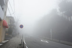 DSC05453.JPG