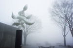 DSC05456.JPG