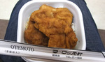 hon100124_004.jpg